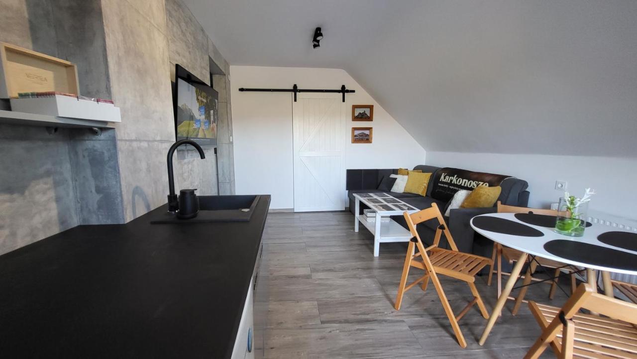 Swit - Apartament W Jezowie Sudeckim Jezow Sudecki ภายนอก รูปภาพ